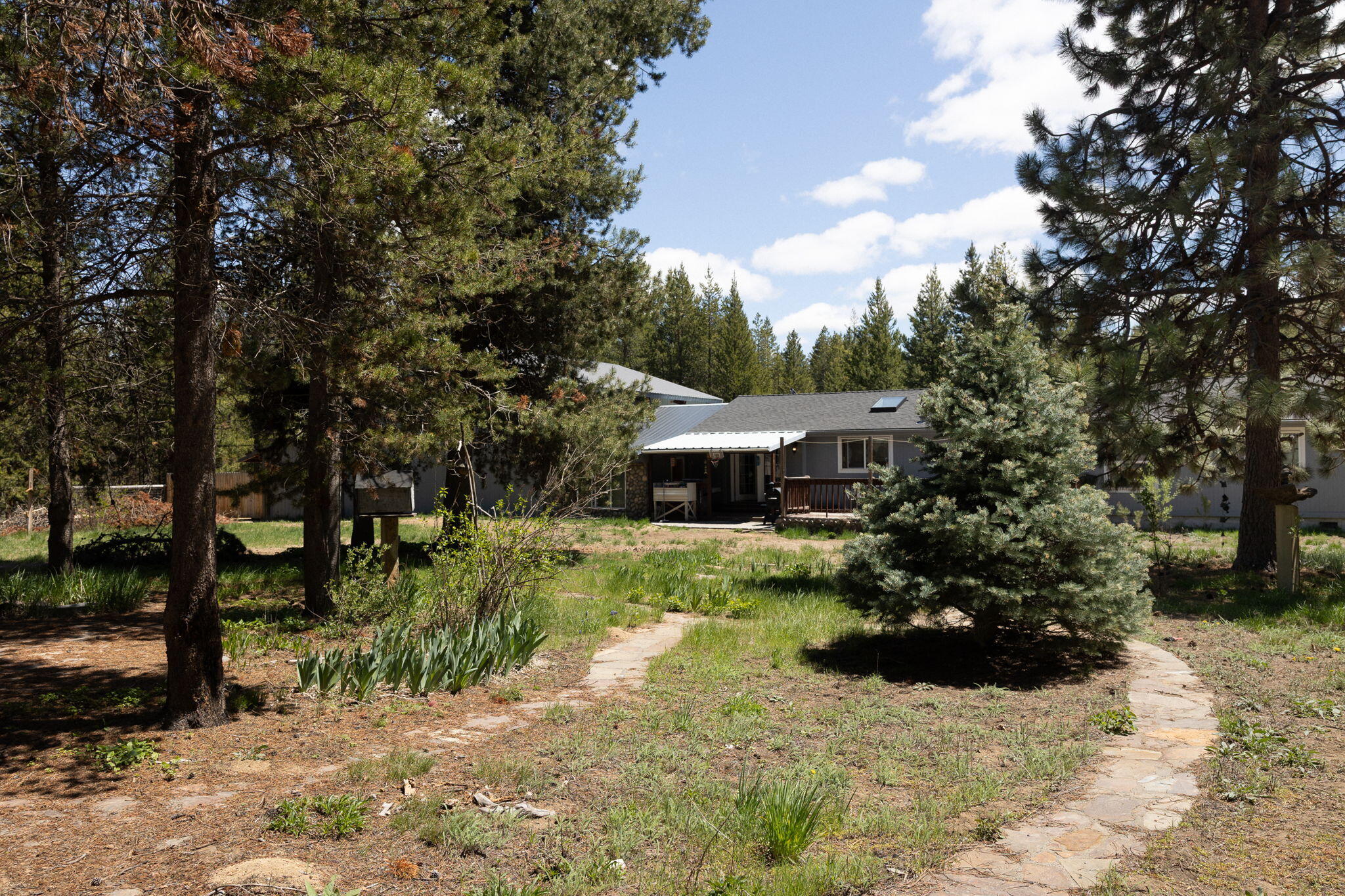 Forest View - Residential