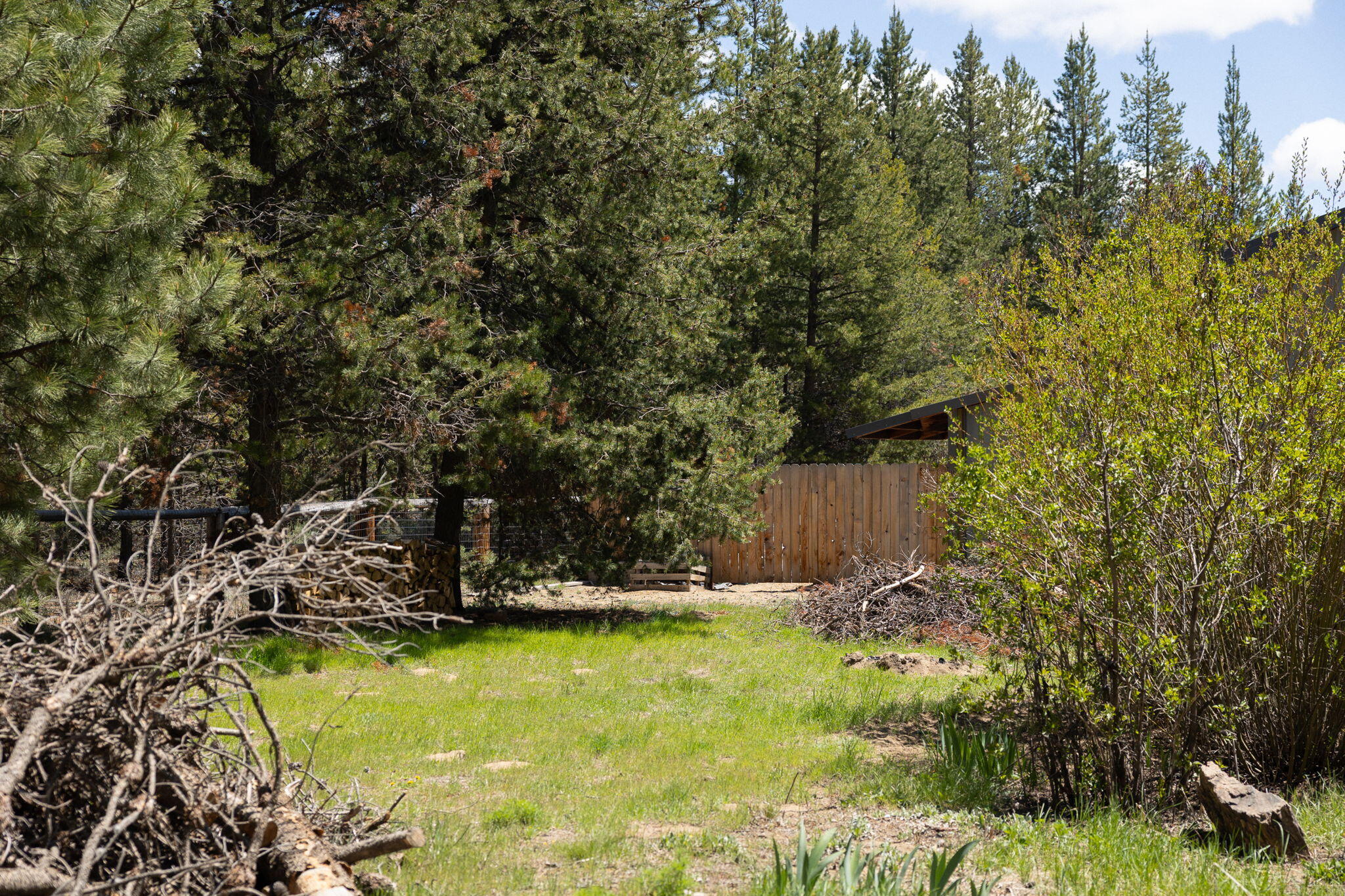 Forest View - Residential
