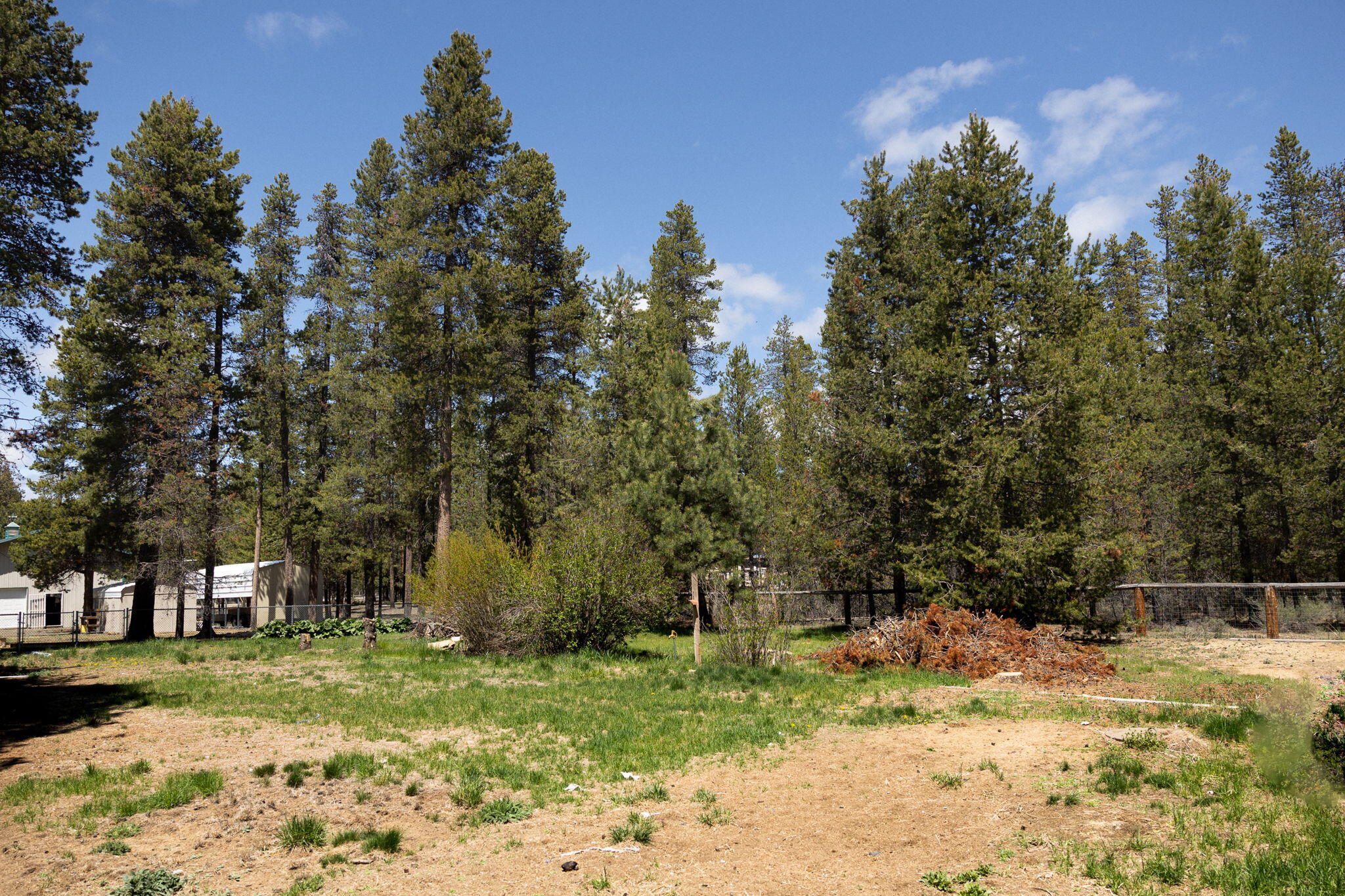 Forest View - Residential