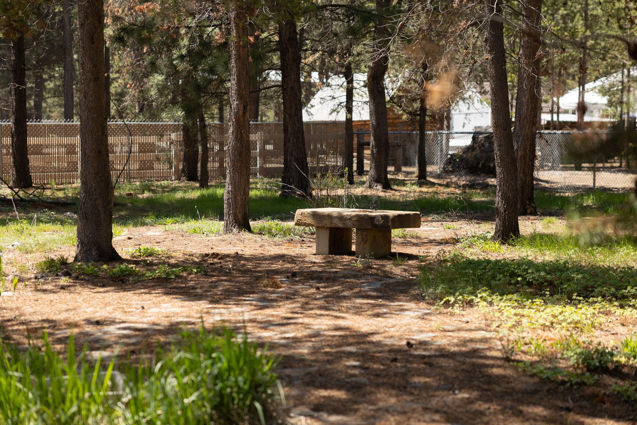 Forest View - Residential