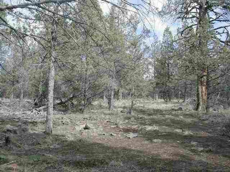 L-517 Great Building Site. Has Been Cleared Of Most Brush. End Of A Street. Desireable Subdivision. Close To Klamath Falls.