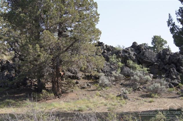 Buena Ventura - Residential