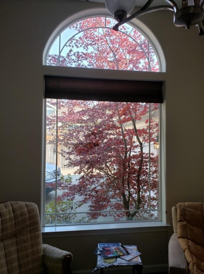 Williams Crossing Subdivision - Residential