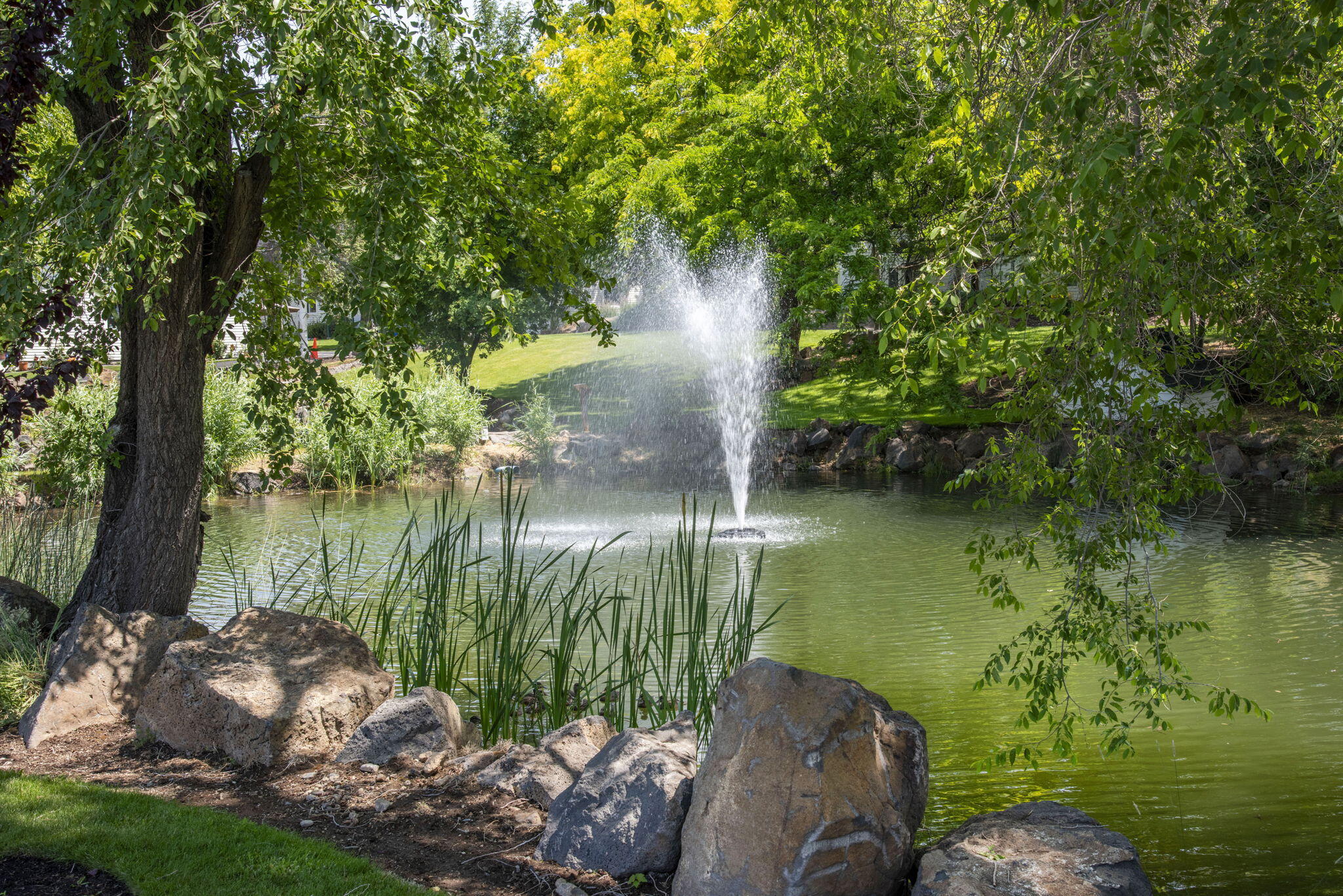 Boulder Brook - Residential
