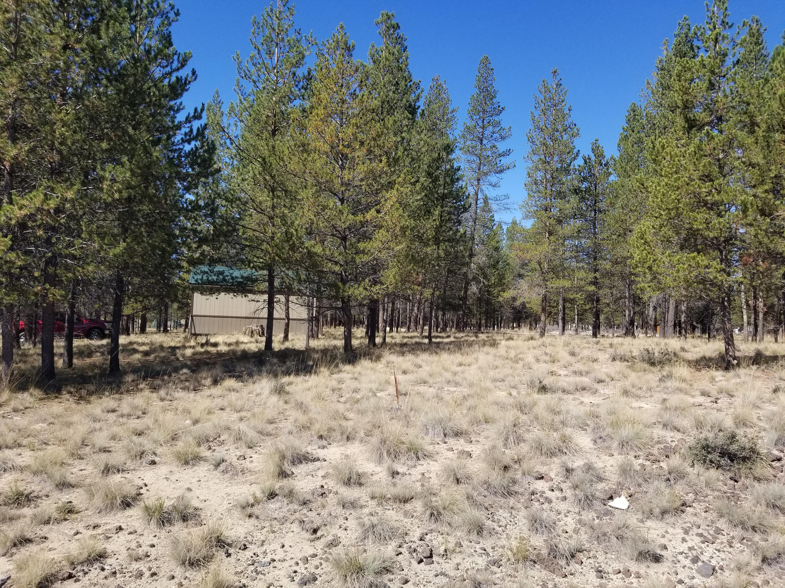 Sun Forest Estates - Land