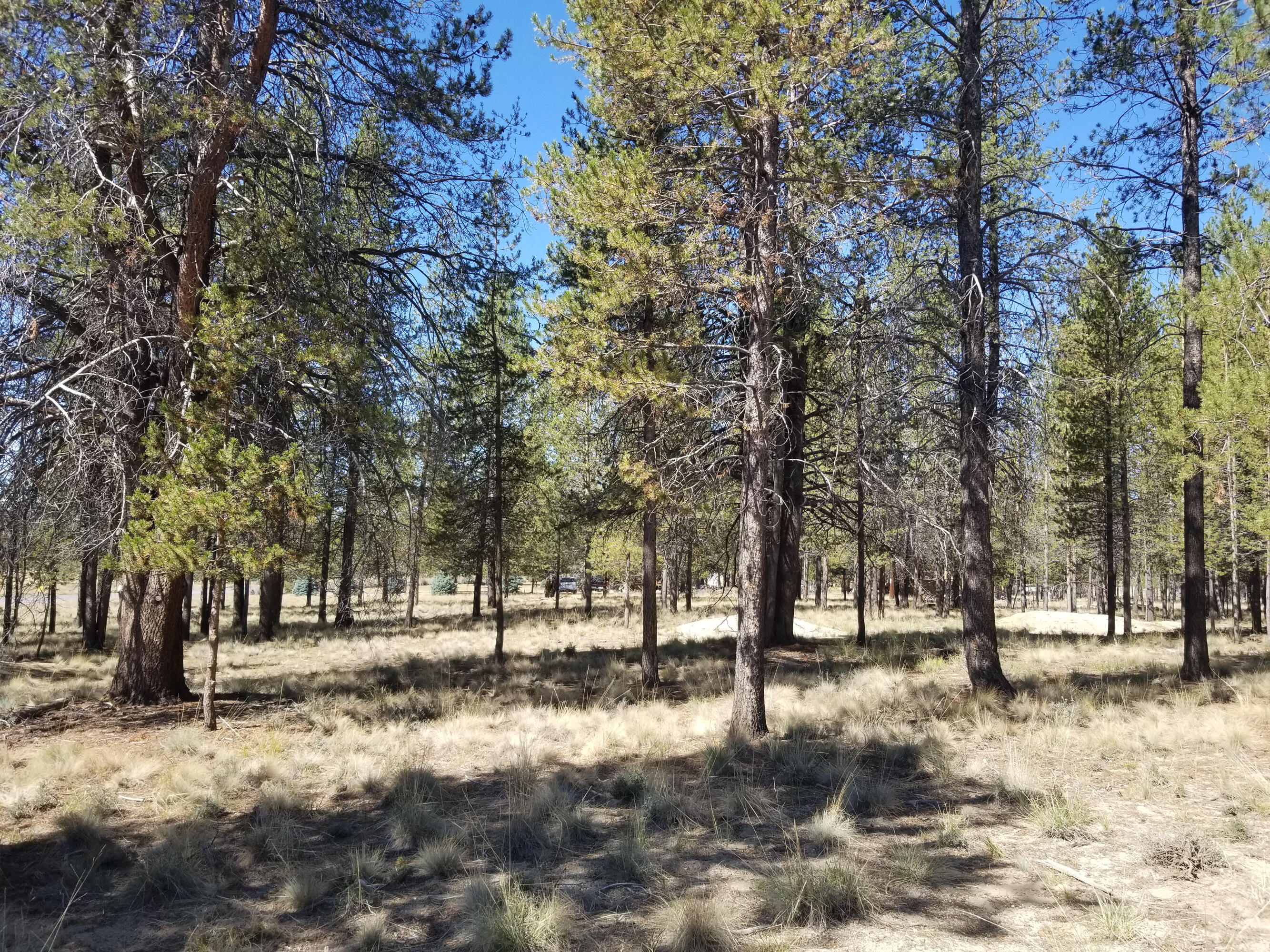 Sun Forest Estates - Land