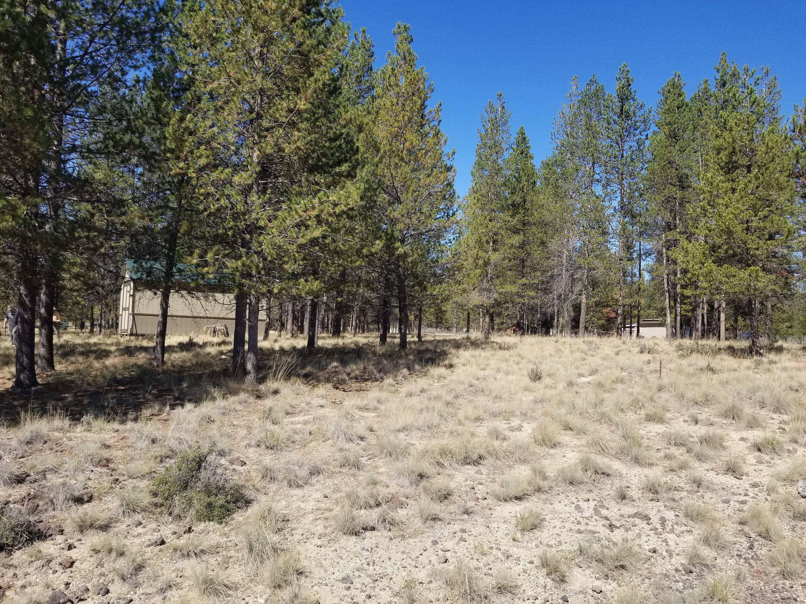 Sun Forest Estates - Land