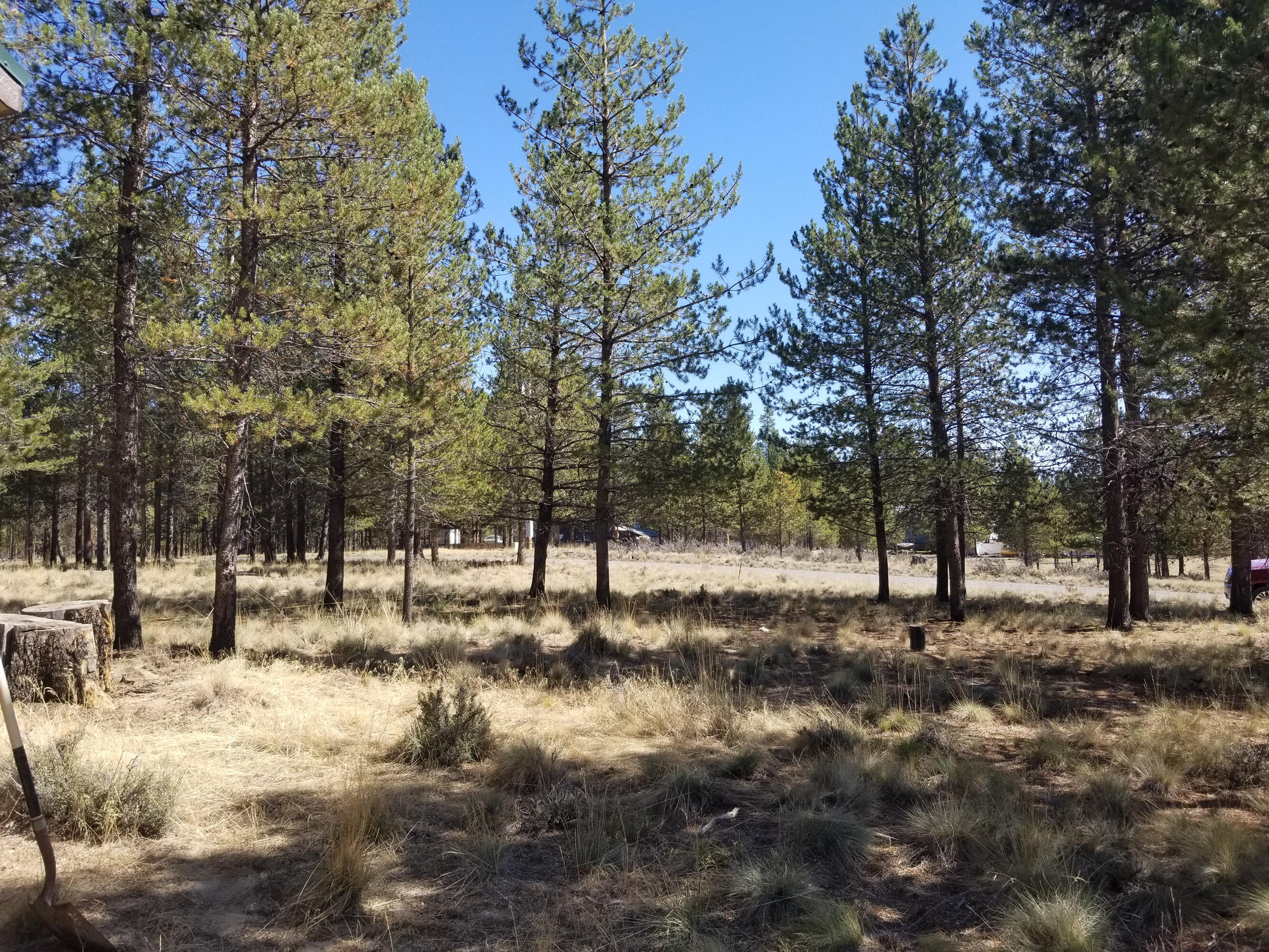 Sun Forest Estates - Land