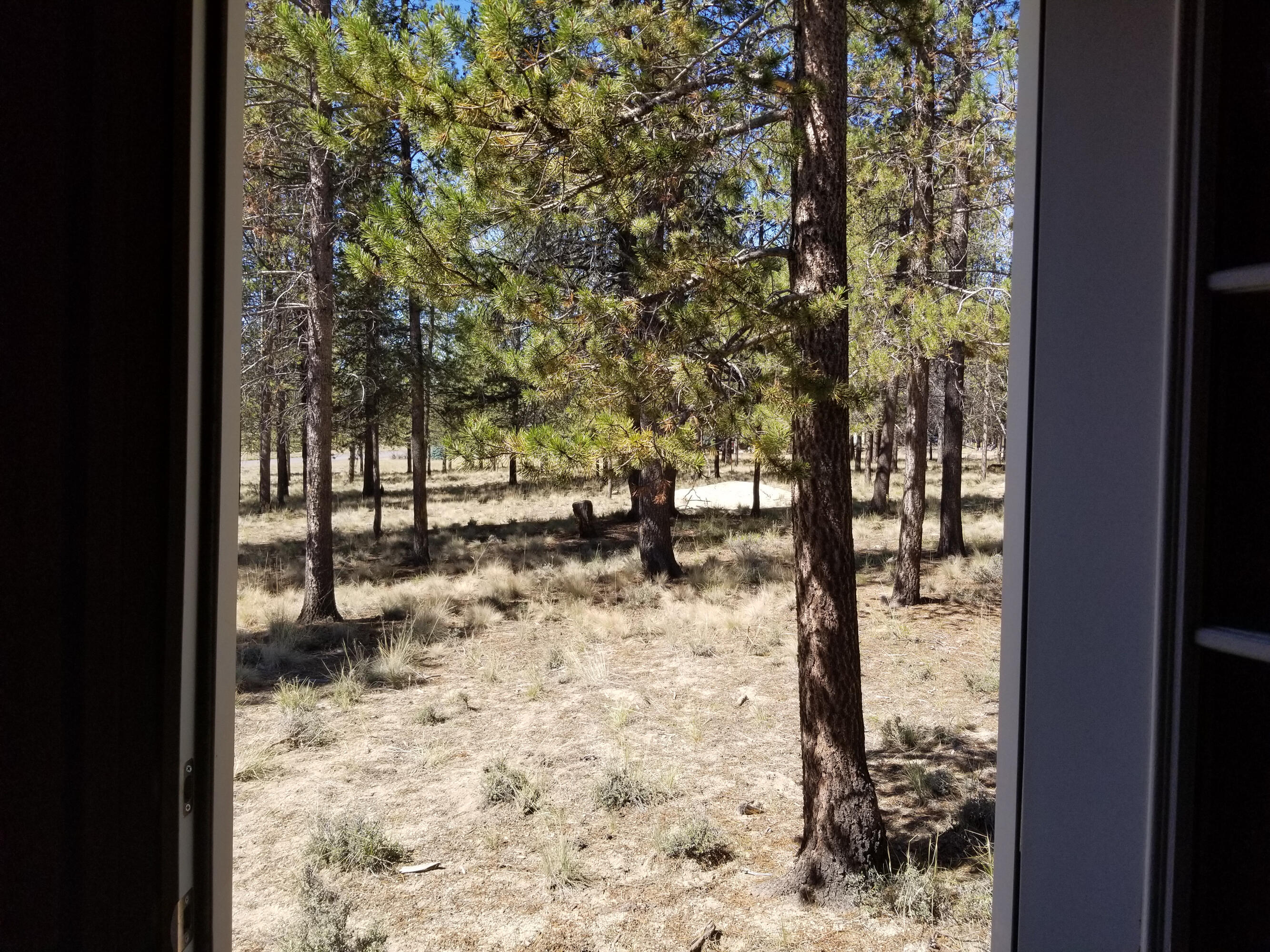 Sun Forest Estates - Land