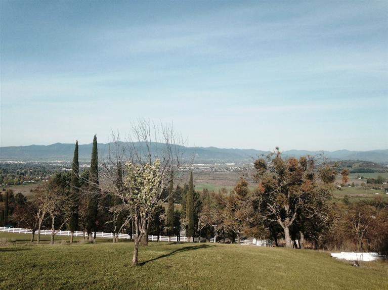 Bush Gardens Subdivision - Land