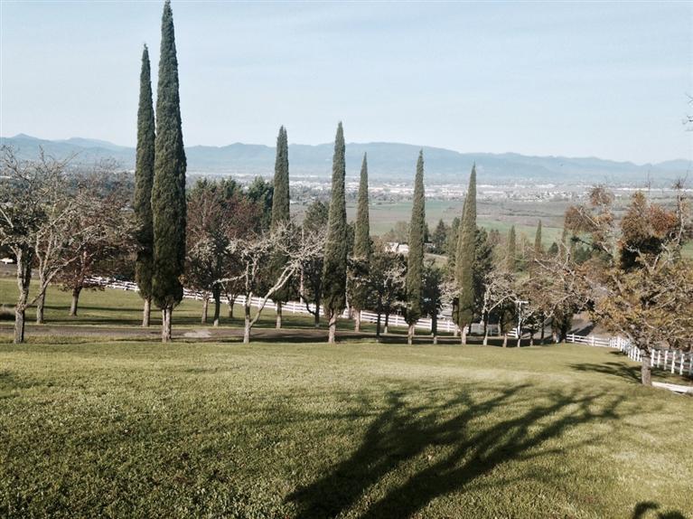 Bush Gardens Subdivision - Land