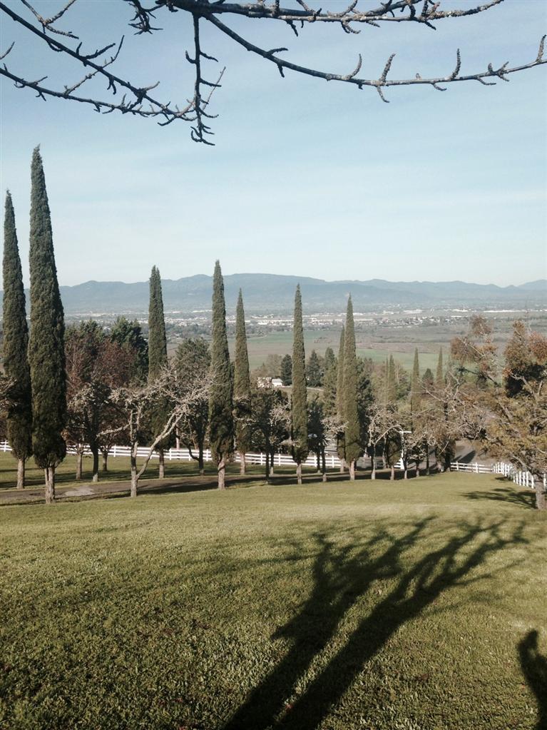 Bush Gardens Subdivision - Land