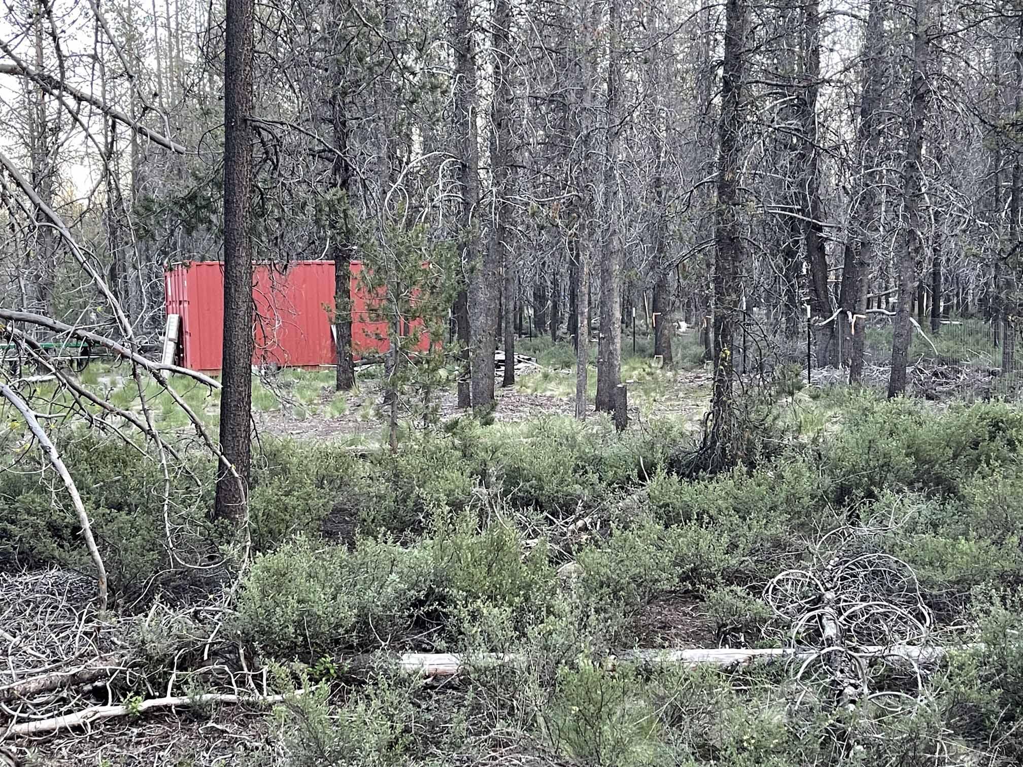 Mt. Scott Meadow - Land