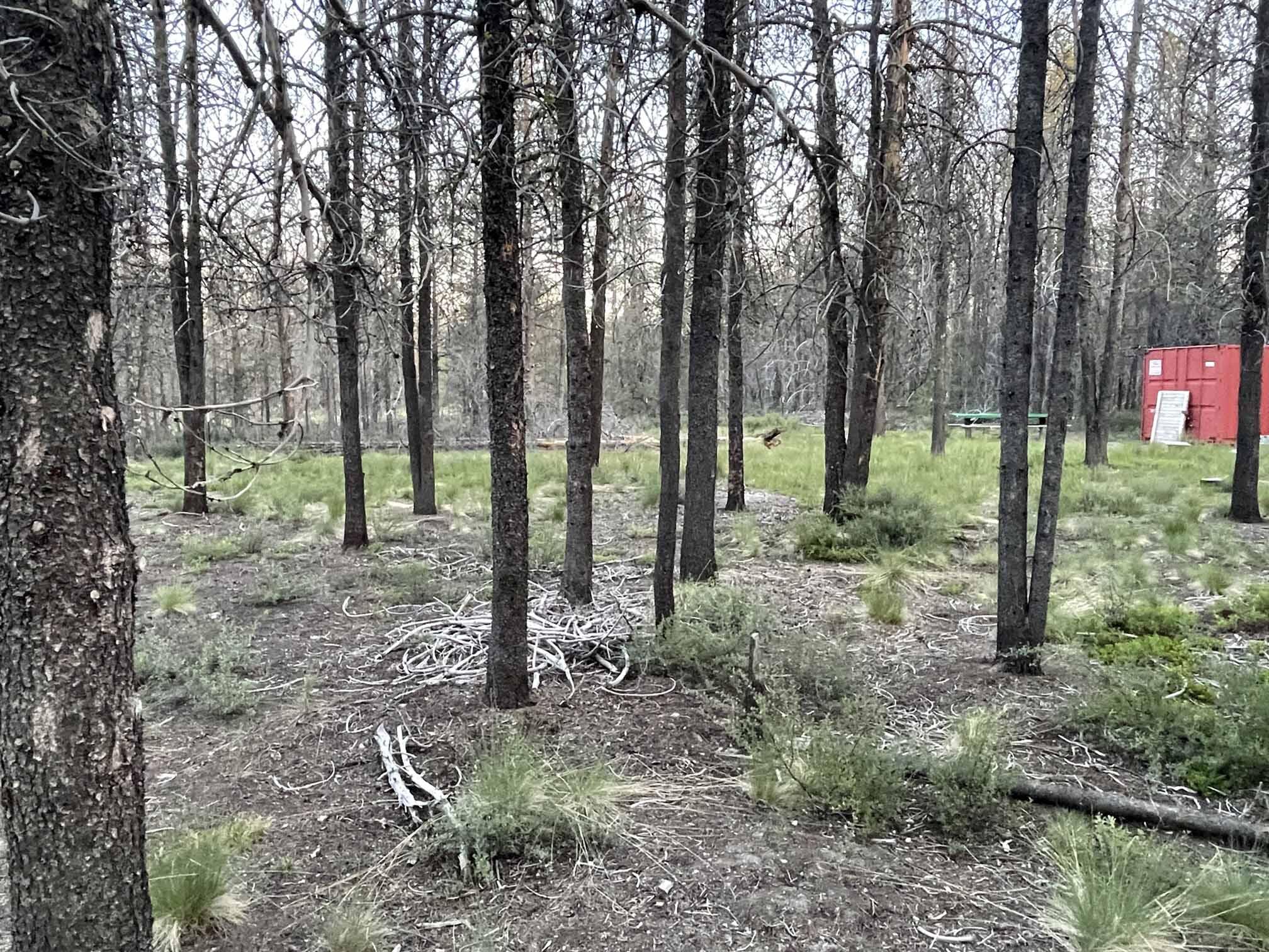 Mt. Scott Meadow - Land