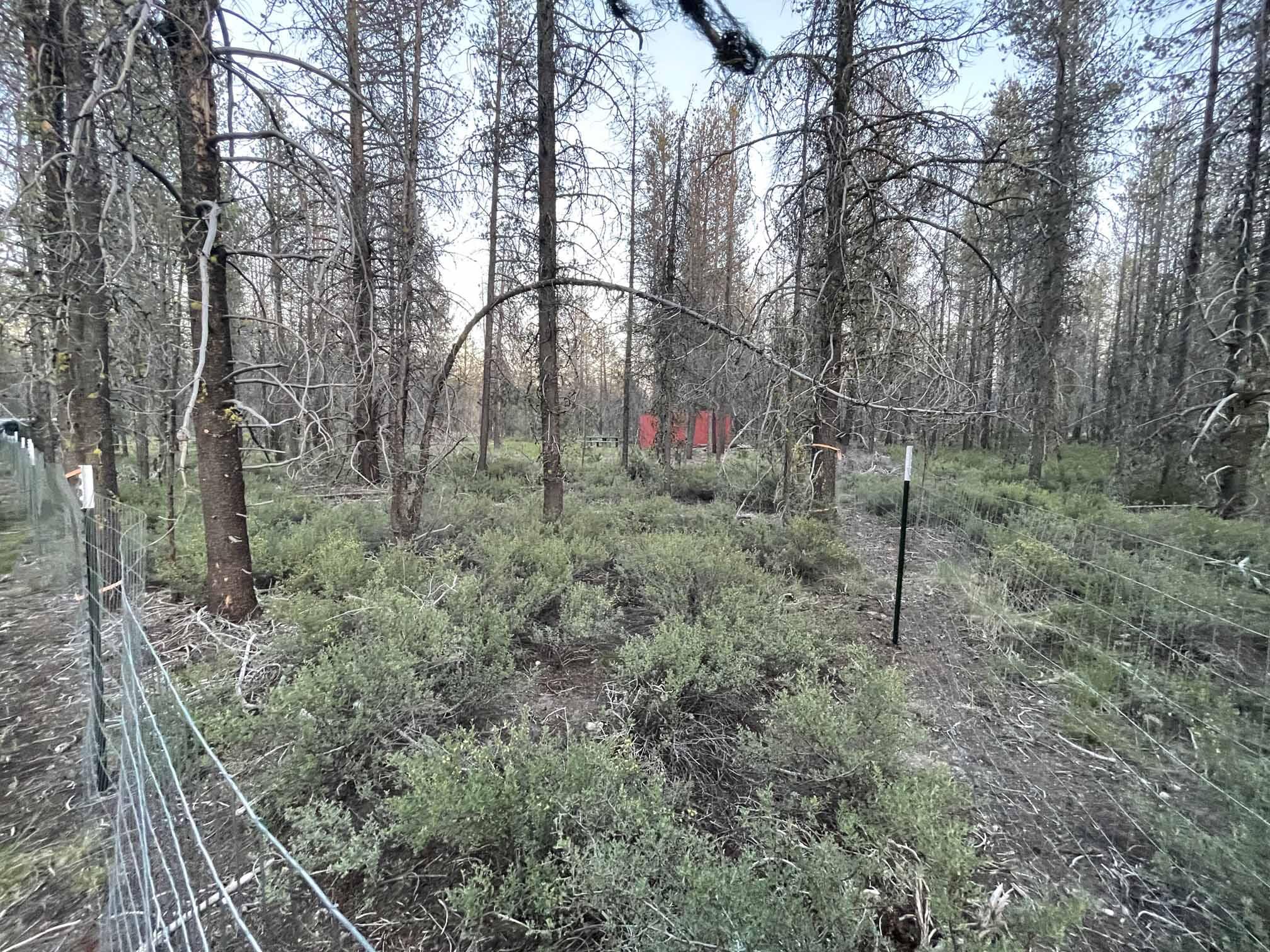 Mt. Scott Meadow - Land