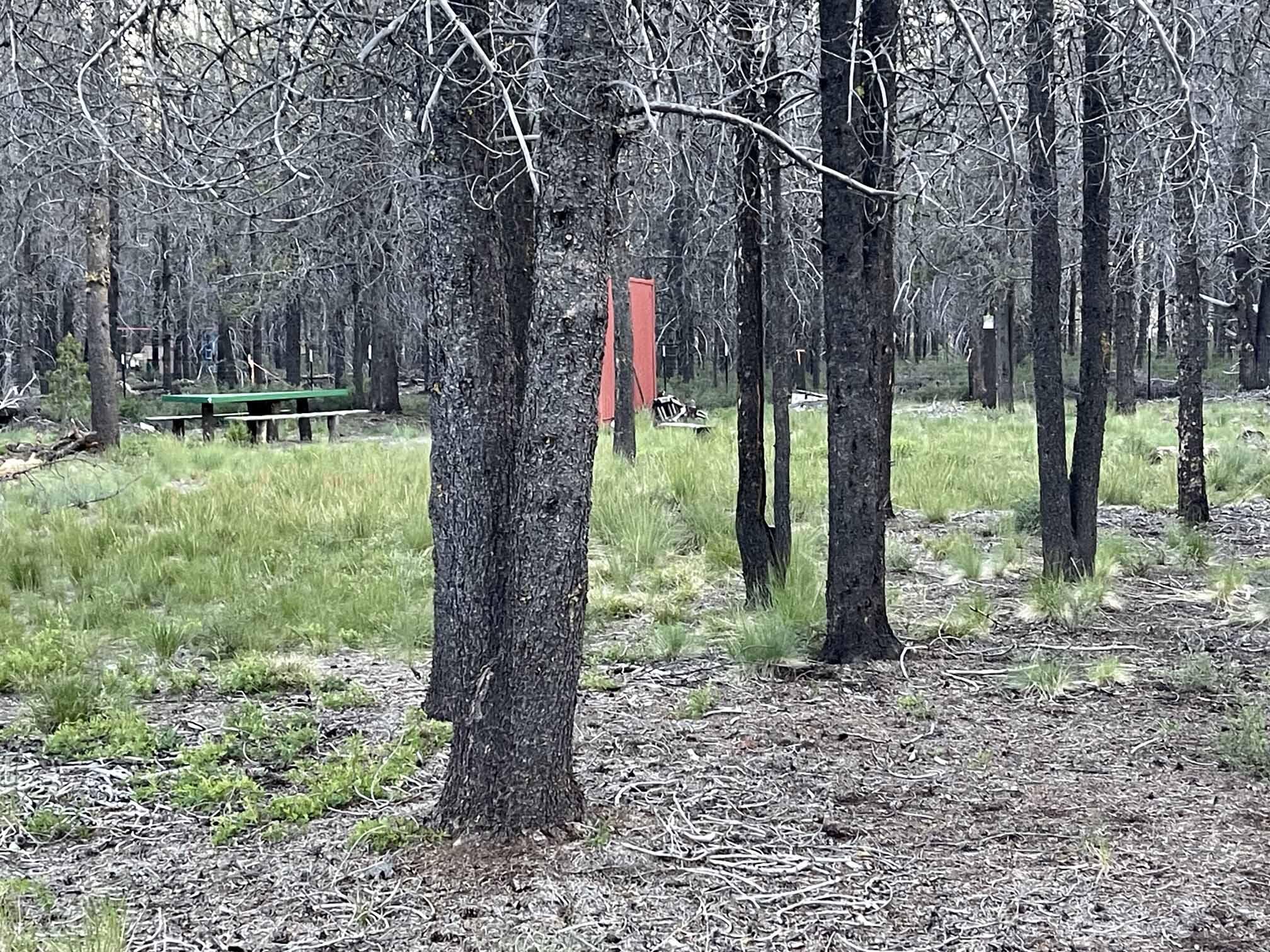 Mt. Scott Meadow - Land