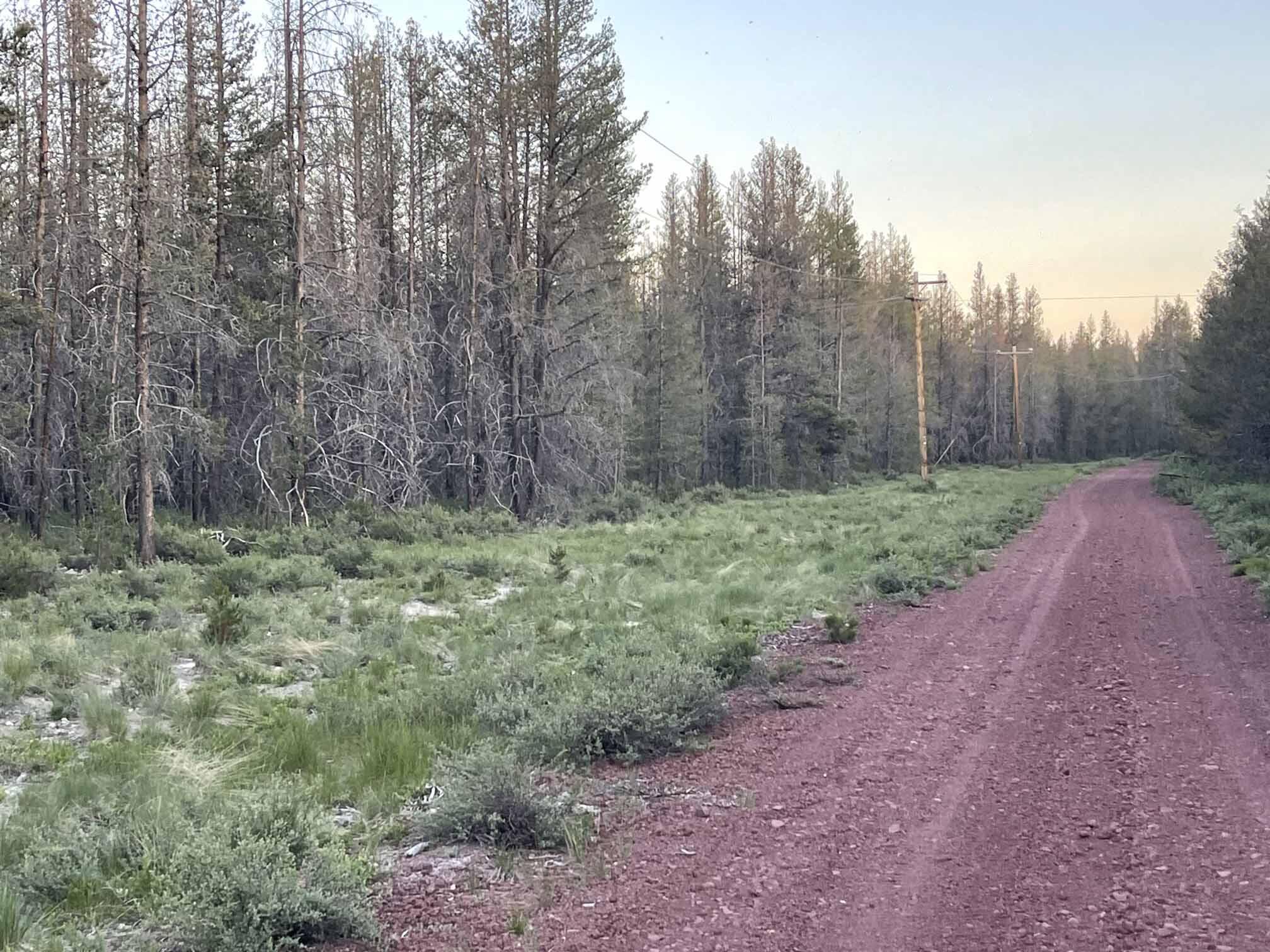 Mt. Scott Meadow - Land
