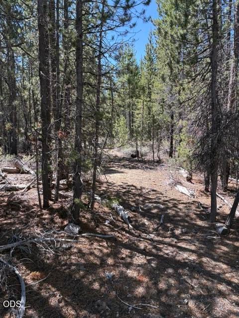 Tiny photo for 123415 Surveyor Road, Crescent Lake, OR 97733 (MLS # 220223966)