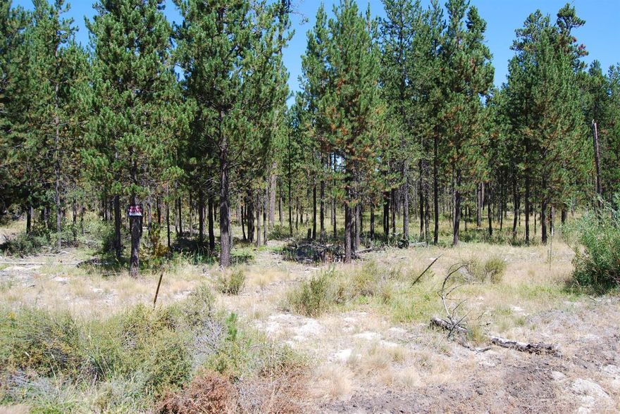 This lot is close to Deschutes River, Cascade Lakes and Mt. Bachelor. Buy one lot or buy them all as a package price. Adjoining lot #'s 11300, 11400 and 11500 on Hermosa Road and lot #'s 8600, 8700, and 8800 on Glendale Road for a total of 3 square acres. Buyer is to do their own due diligence to suit their needs.