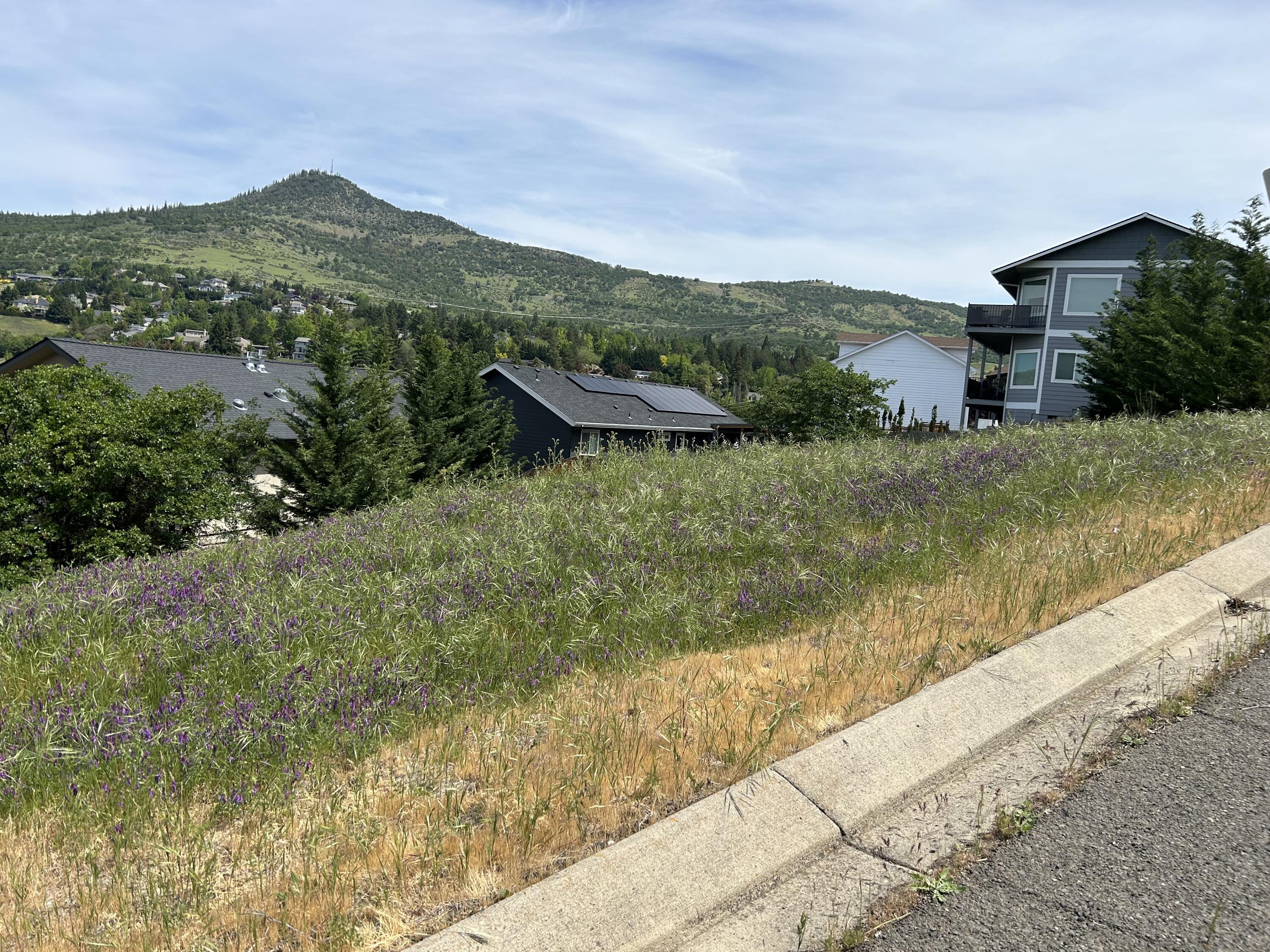 Graeagle Estates - Land