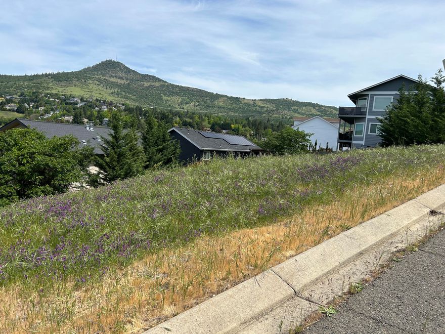 MOTIVATED SELLER owns one of the few remaining lots in the Graeagle Estates Subdivision.  While the size of the lot is indicated as .07 acre, if you read the CC&Rs for the subdivision, you will find the common area adjoining each individual lot is designed for the exclusive use of that particular parcel.  For sure, there are pretty dramatic views from this neighborhood!  This lot is below Barbara Jean and there is a ''shelf'' abutting the street, with a steep downhill slope to the lot itself.  The HOA is professionally managed by CPM Real Estate Services, Inc.  A buyer should perform their due diligence with the City of Medford.