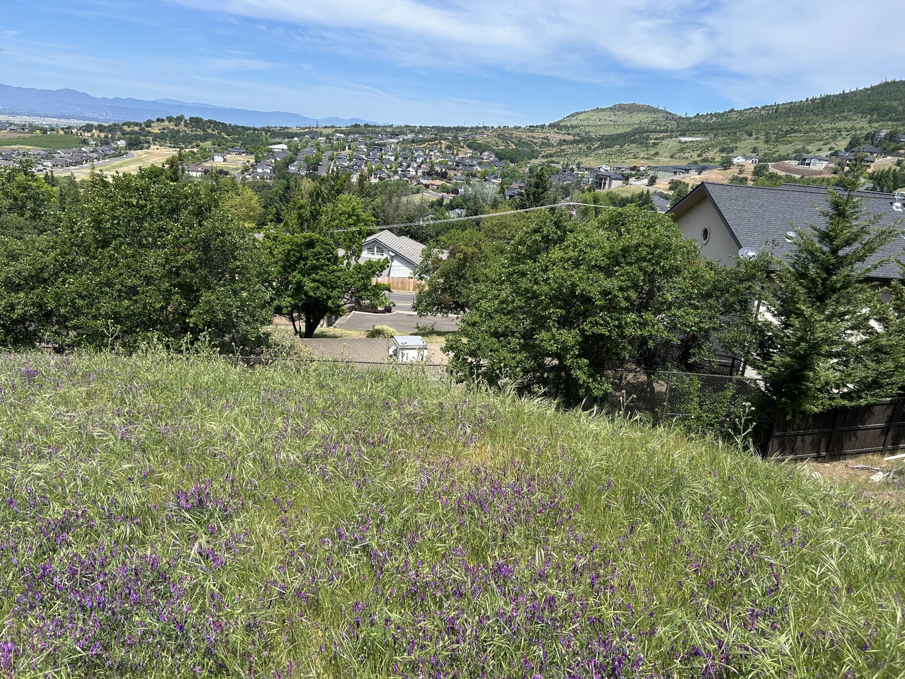 Graeagle Estates - Land