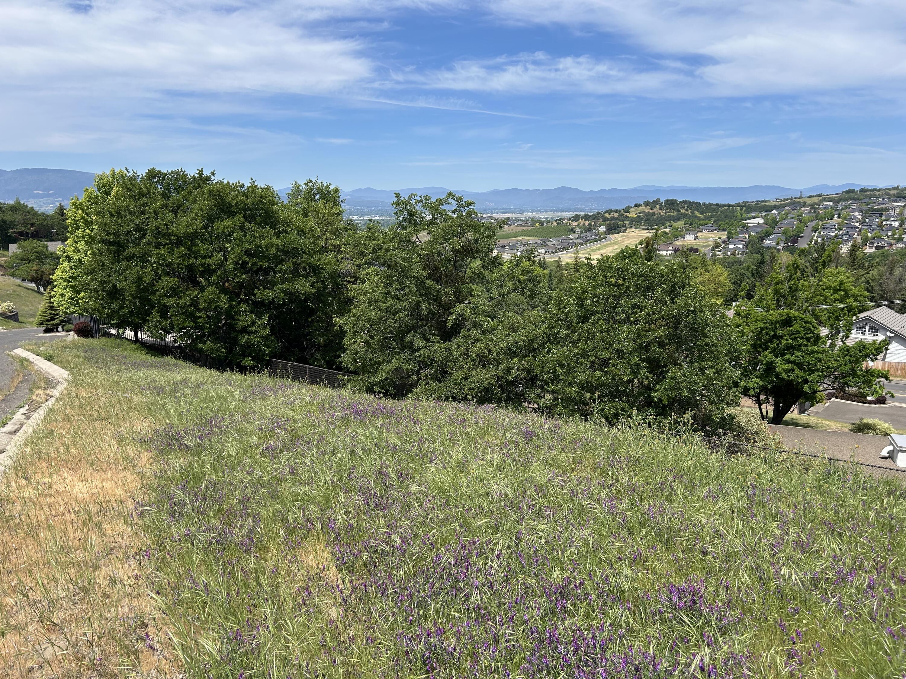 Graeagle Estates - Land