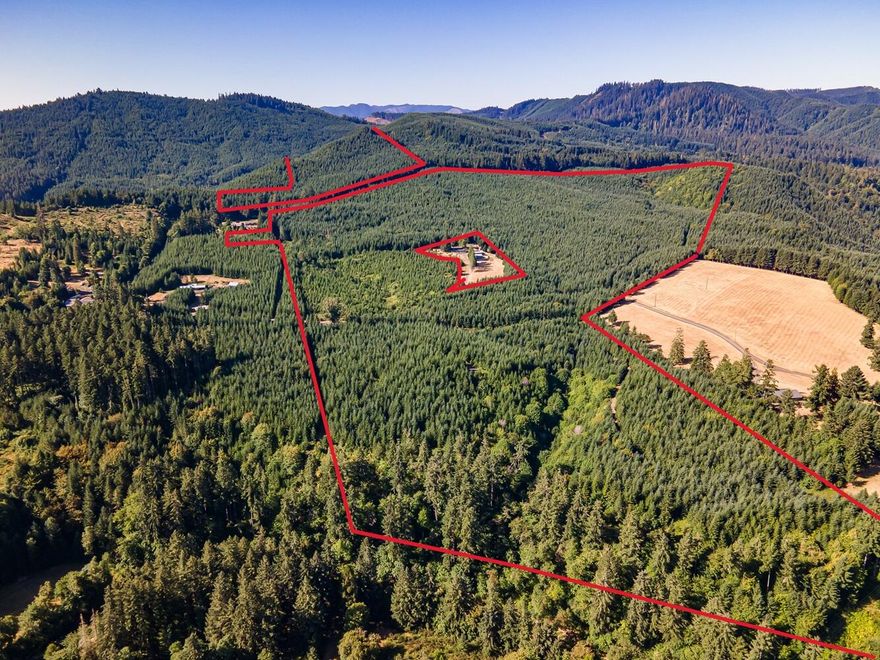 BID SALE
+/-178 acres of generational, family-owned timberland just outside of Drain, OR. This well-managed tree farm offers long-term investment value, near-term income potential, and natural beauty. Set in a quiet area with public and private road access, the property also includes a network of well-built and maintained interior roads, allowing for efficient access throughout.

The land features primarily Douglas-fir on Site Class III soils. Staggered age classes provide a reliable flow of future harvests: +/-106 acres planted in 2006, following subsoiling believed to enhance early growth and stand productivity. ±38 acres were planted in 2012, with roughly 35 acres dating to 1990. The mix of stand ages offers sustainable, phased harvests over the short, mid, and long term. Roughly 90% of the acreage is suitable for ground-based logging.

See Prospectus for more info. Buyers responsible for completing due diligence prior to bid date. Bid considerations start at $1.1 million.