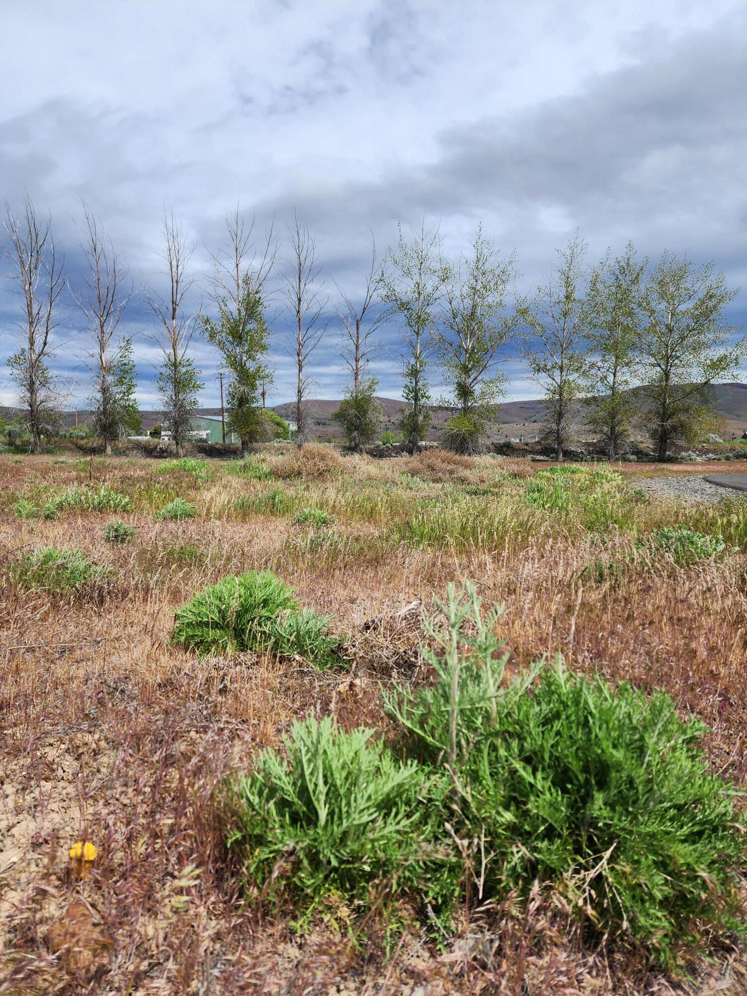 Rivercrest Subdivision Phase 2 - Land