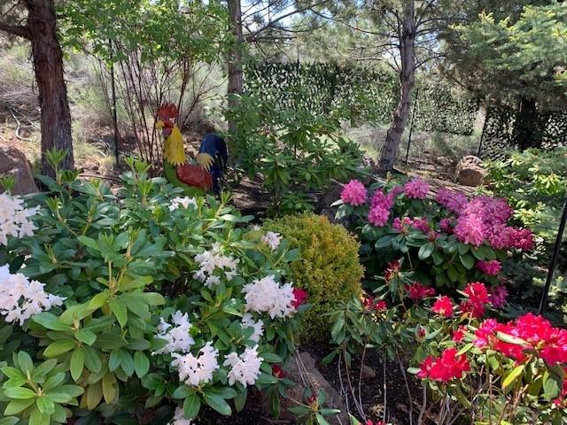 Awbrey Park - Residential