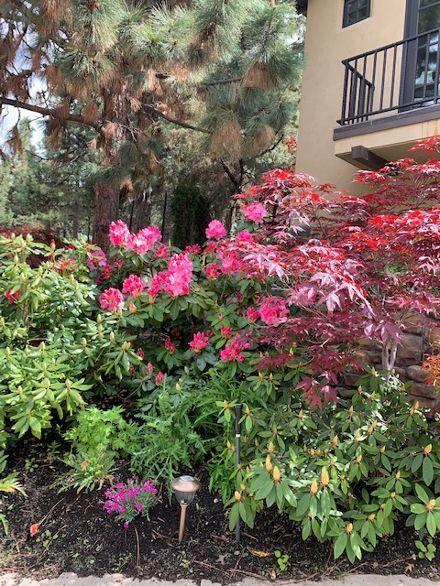 Awbrey Park - Residential