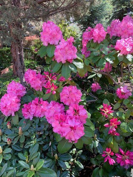 Awbrey Park - Residential