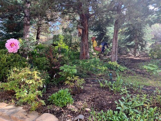 Awbrey Park - Residential