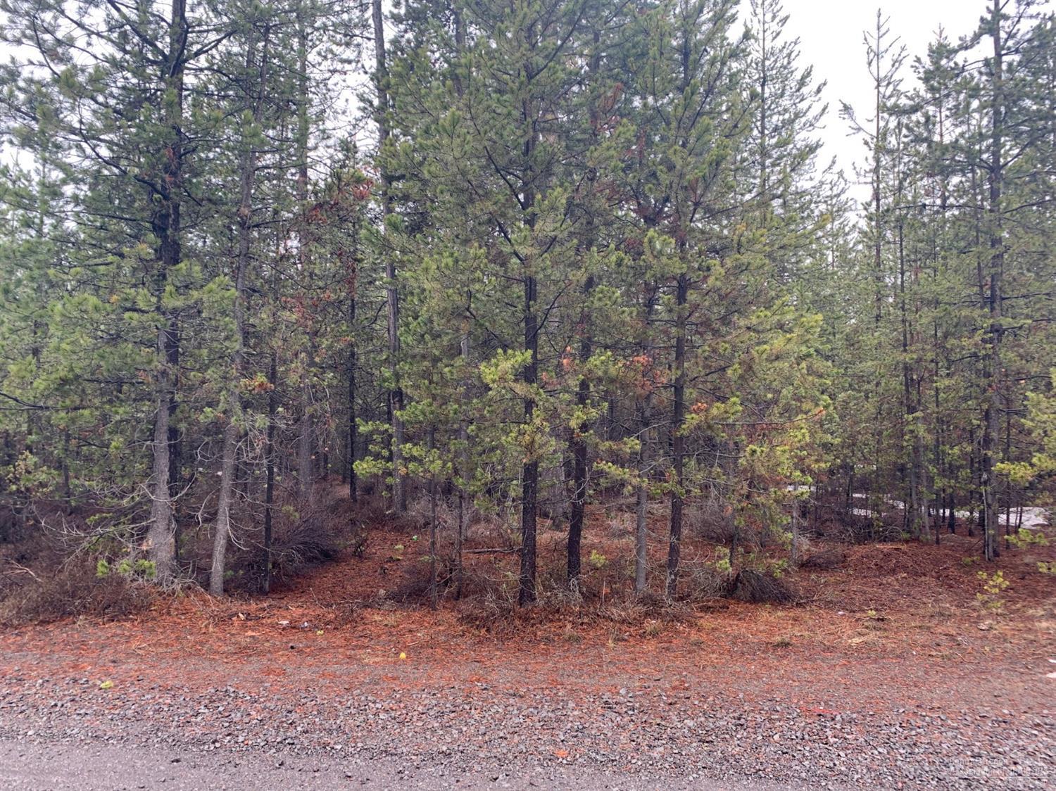 Woodland Park - Land