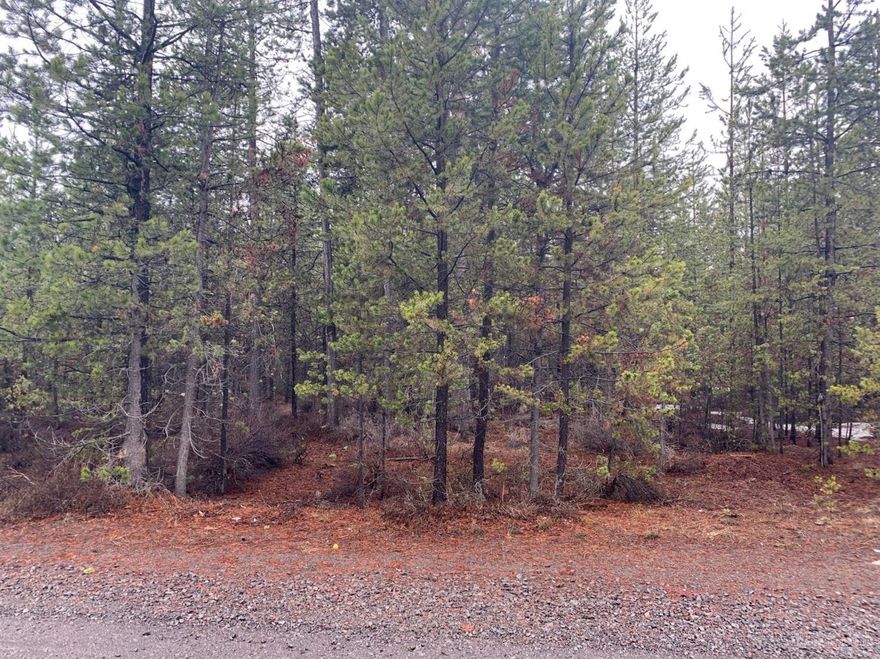 Level Lot easy to build! Great opportunity to live near town and have privacy. Manufactured home are allowed. NO HOA fees. Well installed but dry at 19ft will need to be drilled to 50ft for water. Septic will need to be a ATT w/ Sand Filter system as per the county. Original septic not approved nor ever used. Buyer to verify with the county.