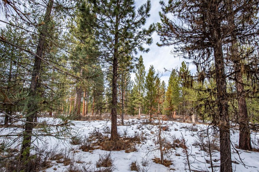 Live the good life from this flat .50-acre homesite with plenty of trees to provide a private, forested setting in the Deschutes River Recreation Homesites neighborhood. You will be in the heart of unlimited recreation with direct access to La Pine State Park from the rear of the property and exceptional proximity to the Deschutes River. Appreciate the feel of county living, however, Mt. Bachelor, Sunriver, and Bend are all less than 30-minutes away. Immerse yourself in the Central Oregon lifestyle!