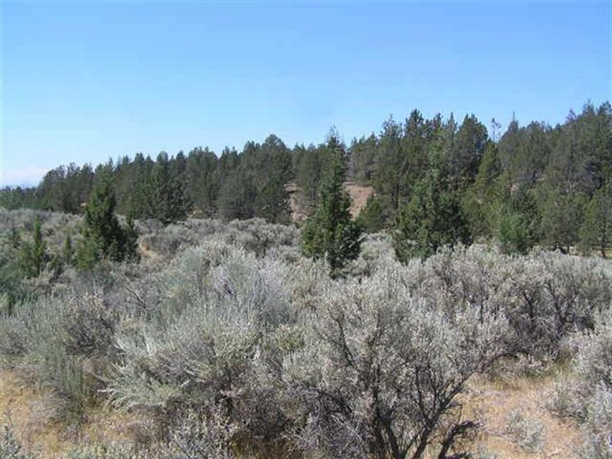 Amazing Views From This 60 Acre Parcel That Was Partitioned In 1974. We Have Already Obtained A C.U.P. For A Homesite That Would Sit Right Up On The Little Knoll For A Great View Of Shasta And The Basin. A Variance From The Winter Deer Range Restriction Has Also Been Obtained In Order To Be Able To Have The Home Away From The Road And Away From The Neighboring Homes. All Of The Hard Part Has Already Been Done. This Property Is Patially Wooded And Has Good Soils.This Is A Great Place To Build Your Dream Home For Your Family And Still Have Some Elbow Room To Sit Back And Take In The Clean Country Air. It Would Make A Great Place For Your 4-h Animals Or Livestock. Probably About 30 Minutes From Downtown Klamath Falls But Feels Like You Are Miles And Miles Away From It All.