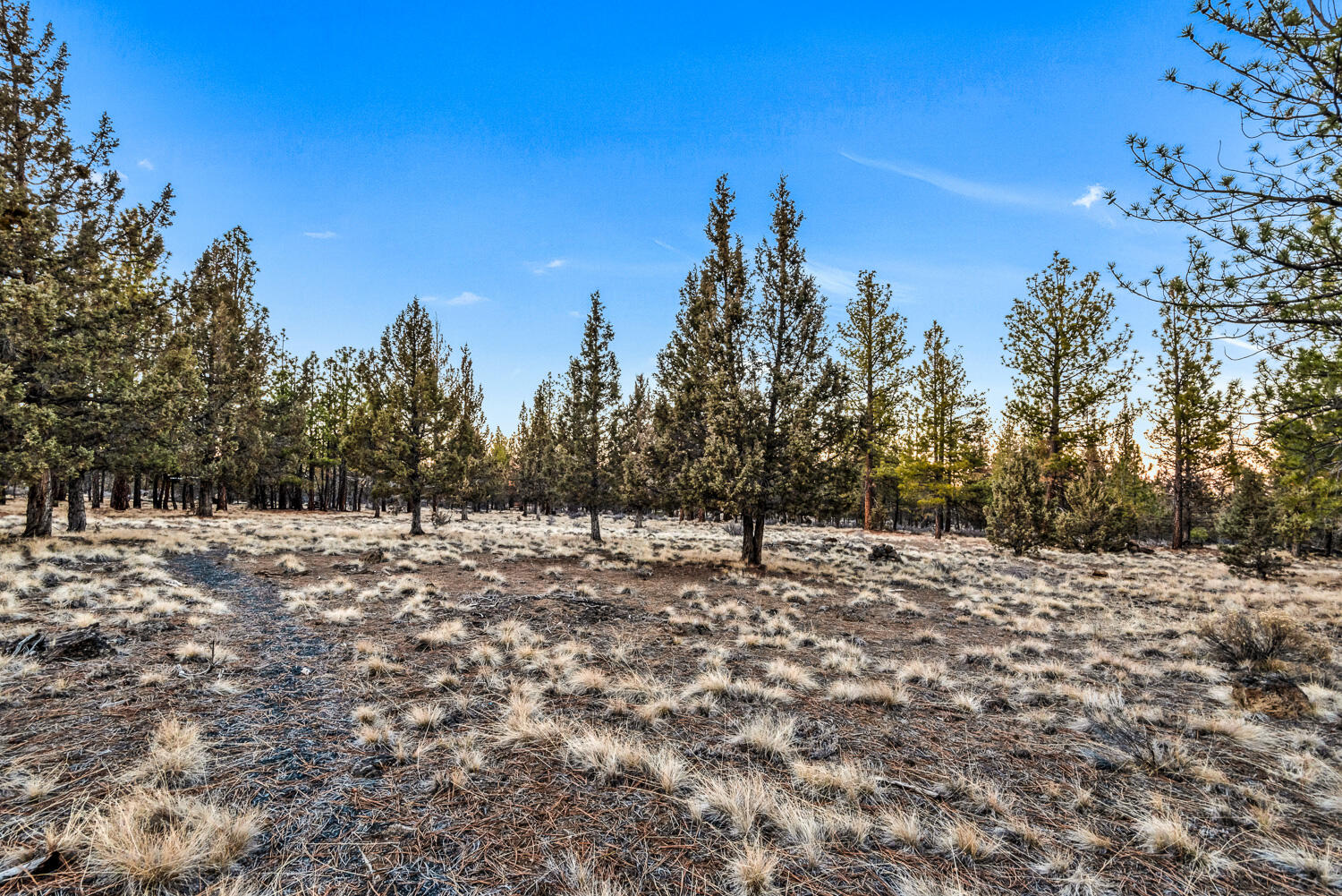 Saddleback - Residential