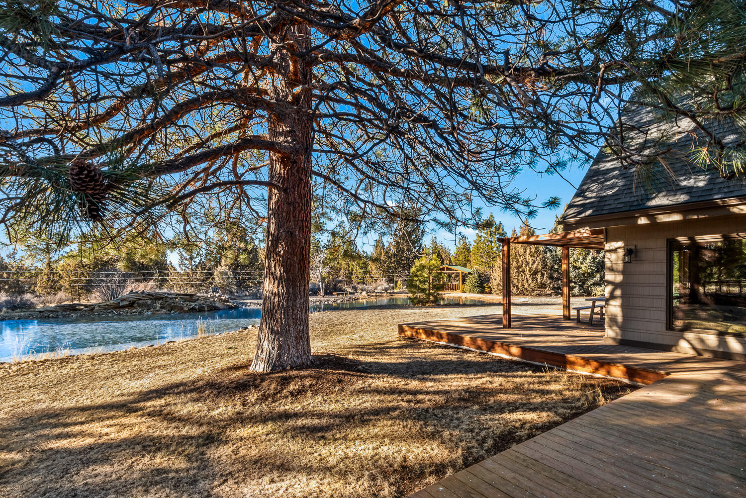 Saddleback - Residential