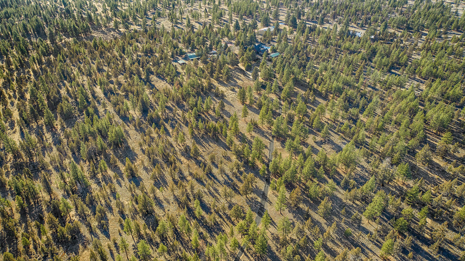 Saddleback - Residential