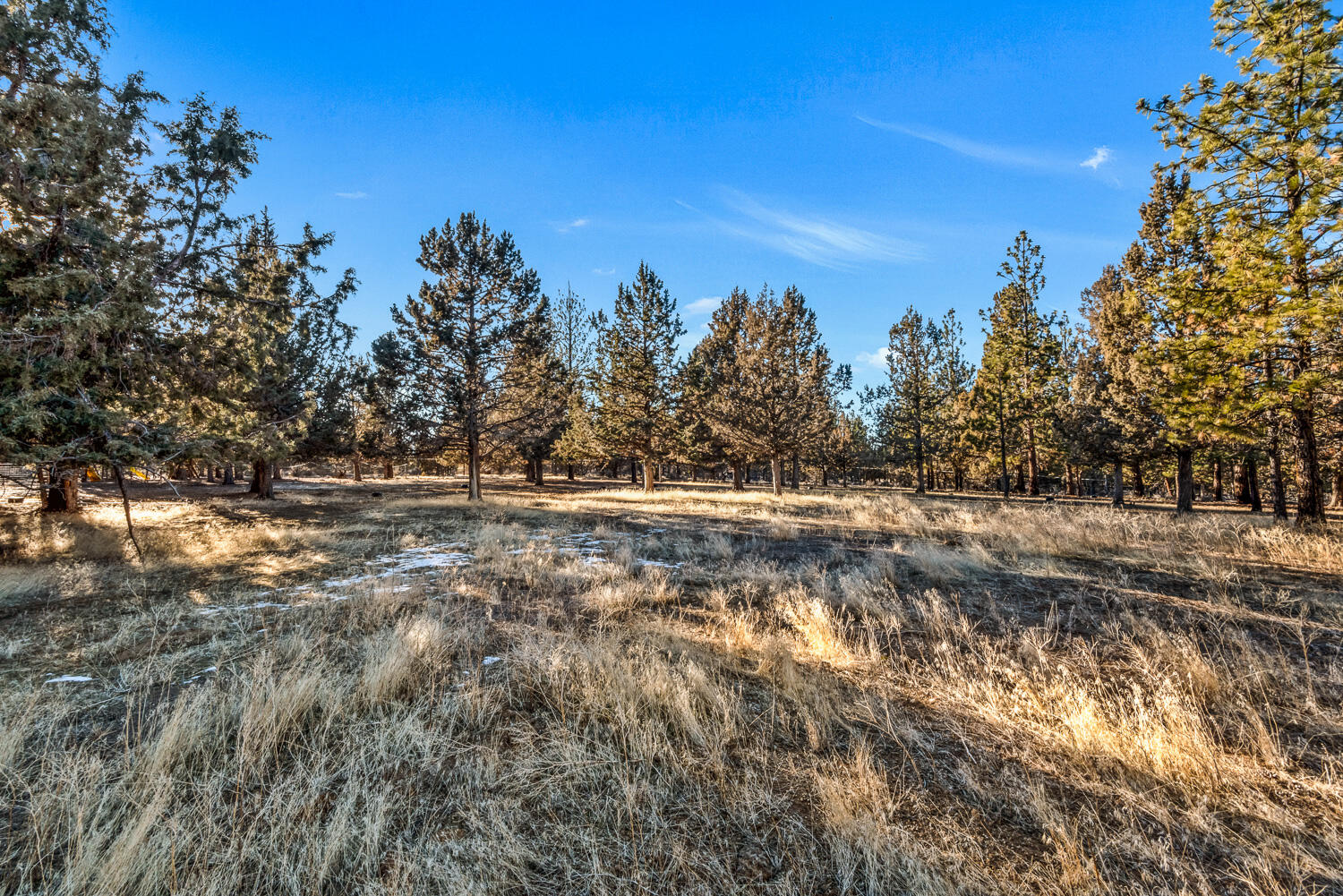 Saddleback - Residential