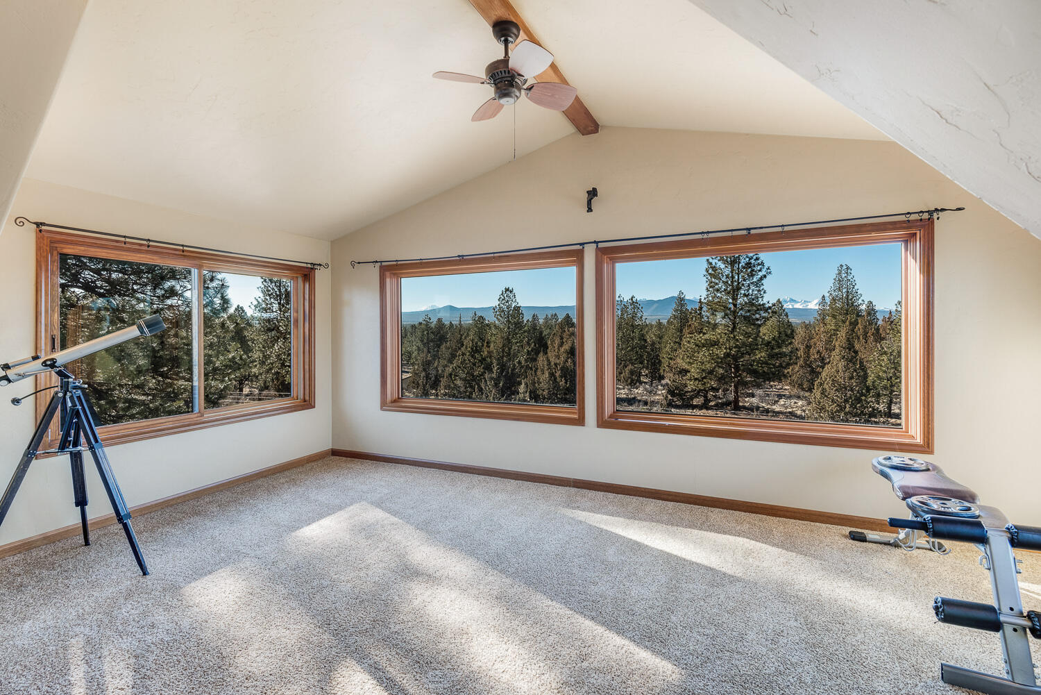 Saddleback - Residential