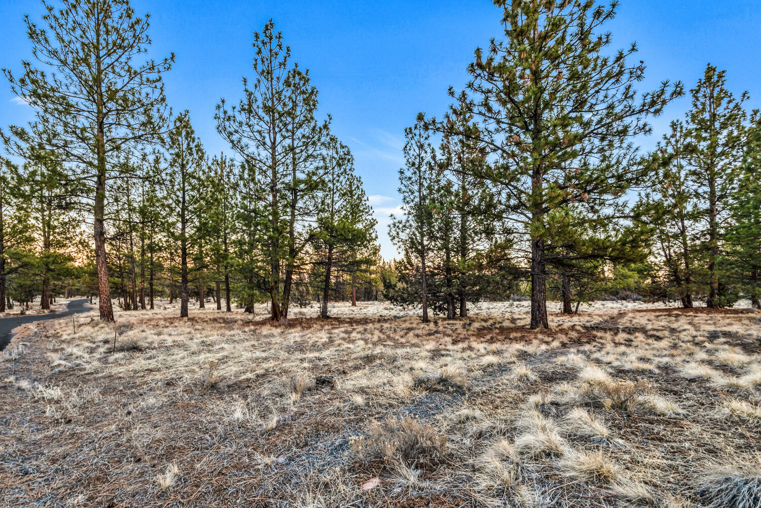 Saddleback - Residential