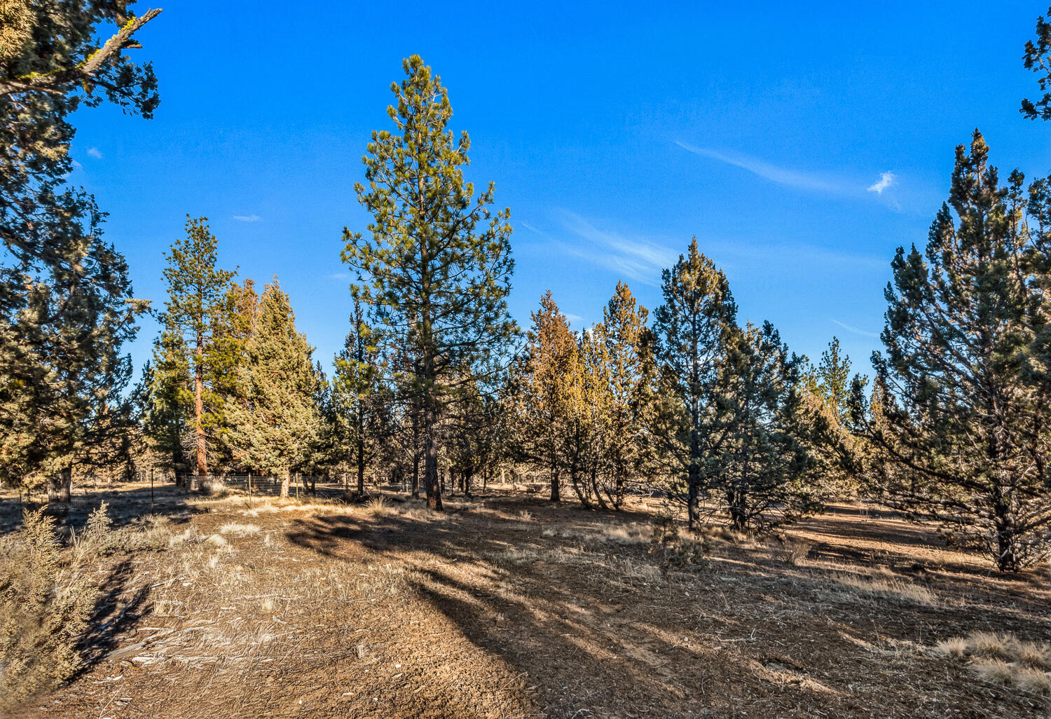 Saddleback - Residential