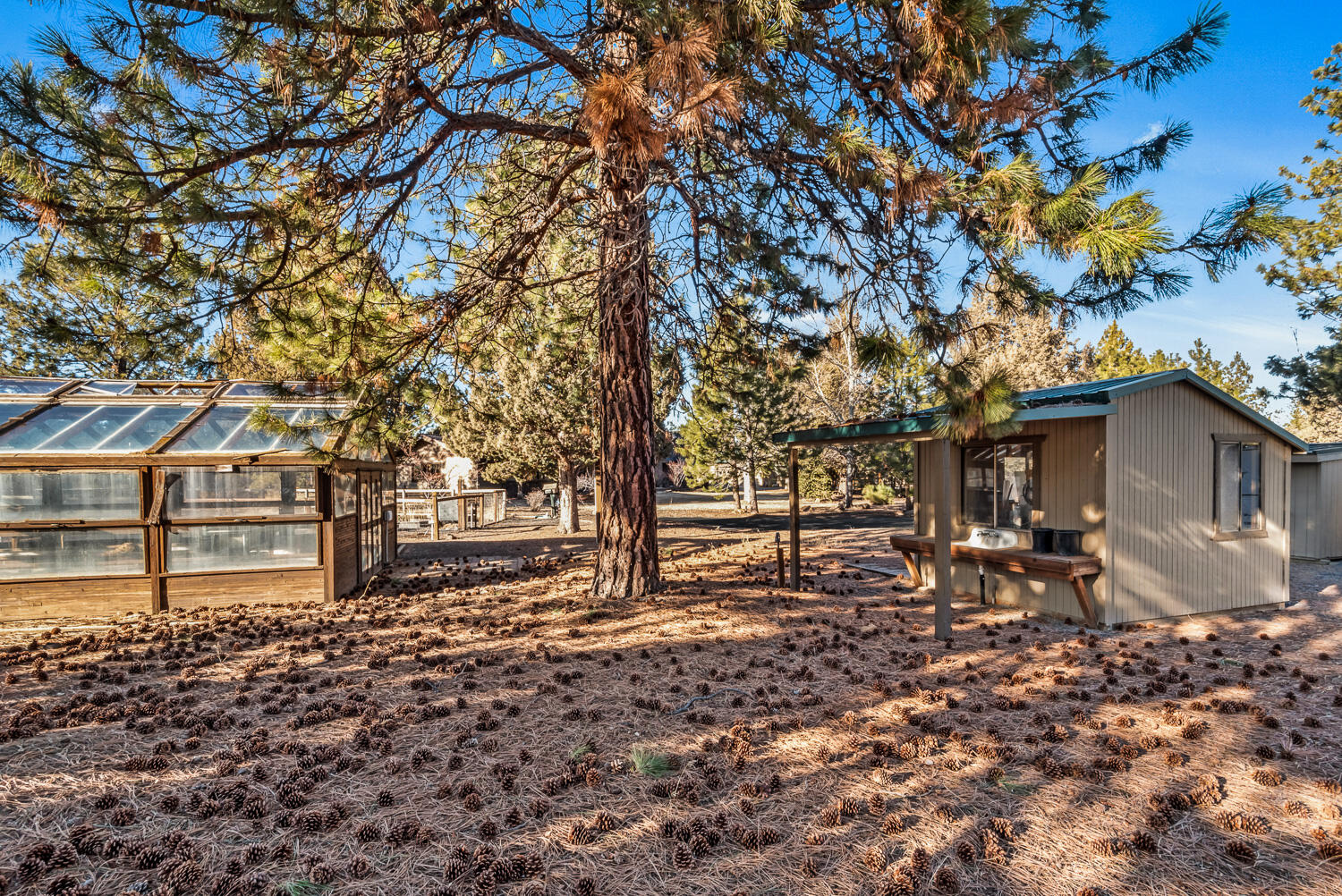 Saddleback - Residential