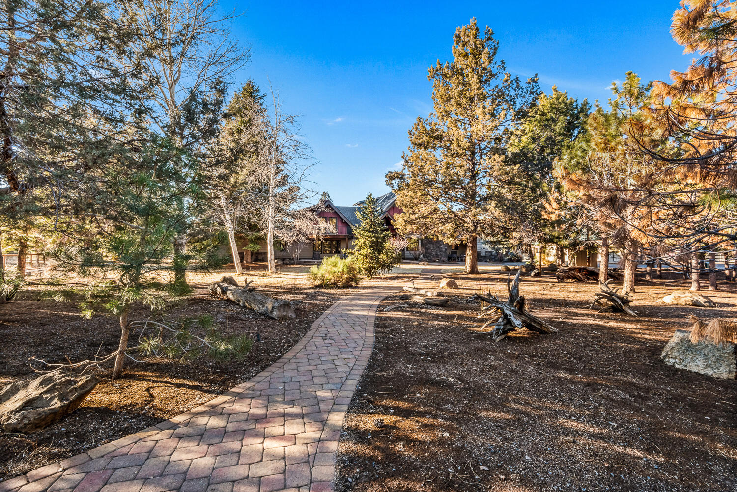 Saddleback - Residential