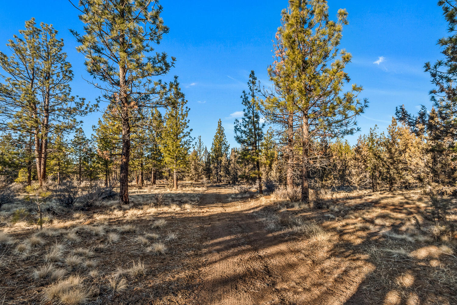 Saddleback - Residential