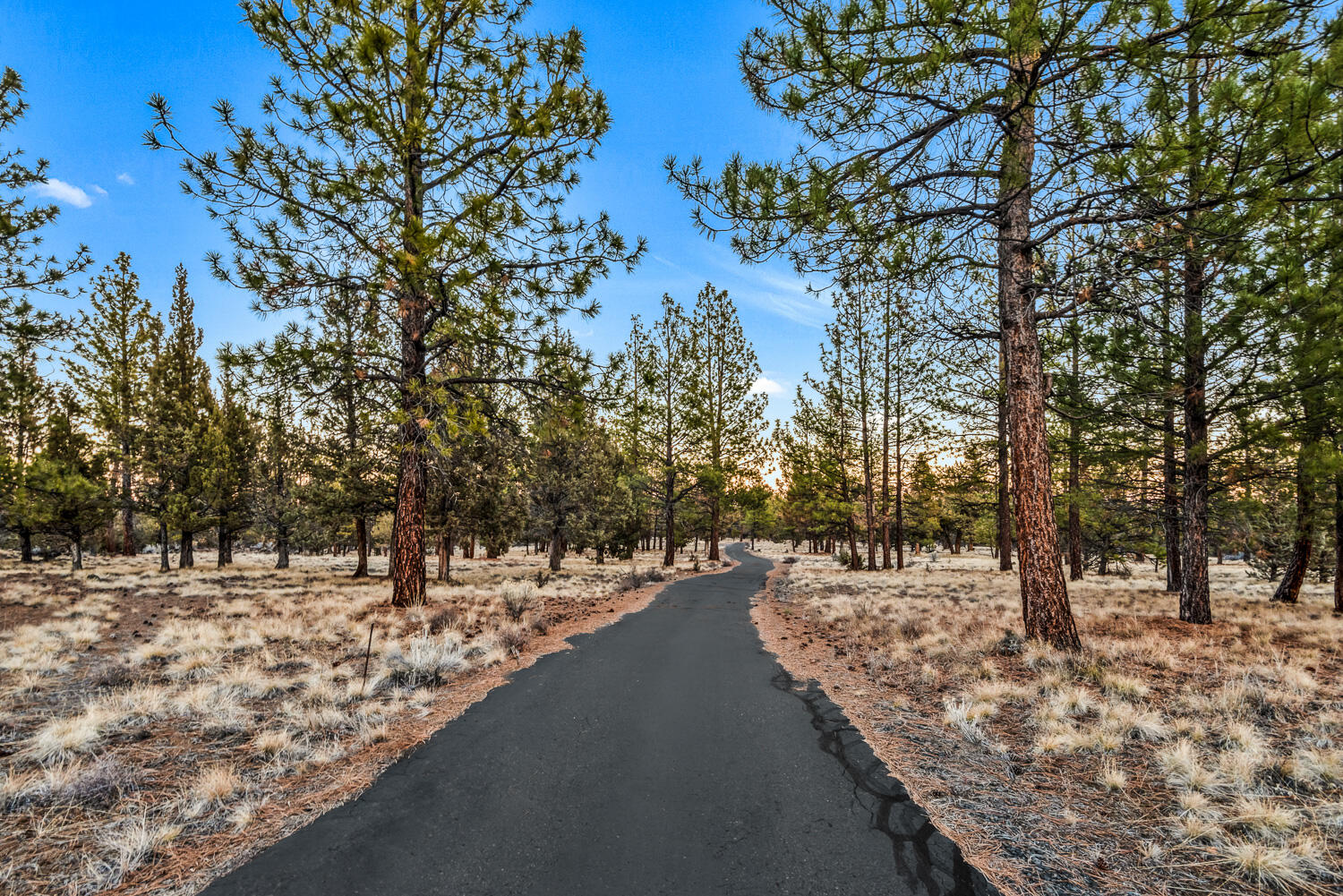 Saddleback - Residential