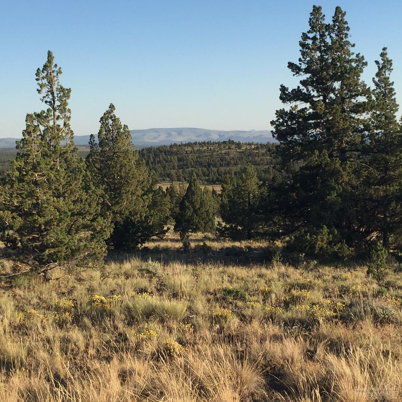Longhorn Ridge - Land