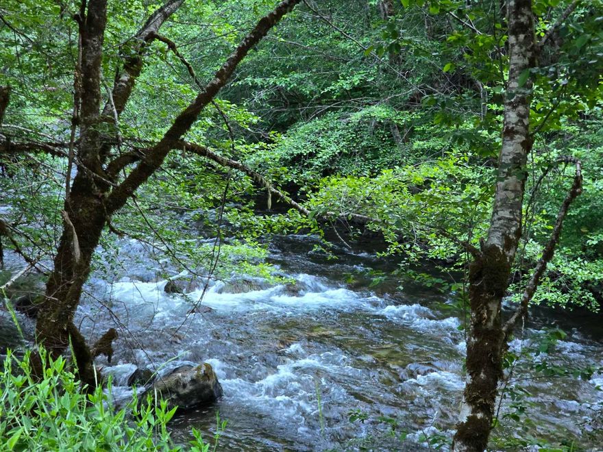 Escape to the nature with this perfect summer getaway! On Sucker Creek, this .69-acre property is an ideal spot for all of your camping adventures. Enjoy the serene surroundings and create lasting memories in this recreational haven.